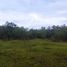 Terrain à vendre à Dauis, Central Visayas, Dauis
