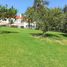  Land for sale in Cumbaya, Pichincha, Cumbaya