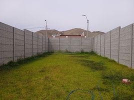  Terreno (Parcela) en venta en Asia, Lima, Asia