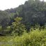  빌라을(를) Parque Nacional Natural Tayrona, 산타 마르타에서 판매합니다., 산타 마르타