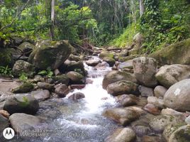  빌라을(를) Parque Nacional Natural Tayrona, 산타 마르타에서 판매합니다., 산타 마르타