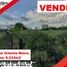  Land for sale in Huila, Neiva, Huila