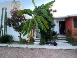 4 Habitación Villa en venta en Irapuato, Guanajuato, Irapuato