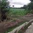 Grundstück zu verkaufen in Calatagan, Calabarzon, Calatagan, Batangas