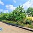  Terreno (Parcela) en venta en Cebu City, Central Visayas, Cebu City, Cebu, Central Visayas, Filipinas