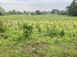  Land for sale in Naic, Cavite, Naic