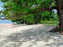  Grundstück zu verkaufen in Calatagan, Calabarzon, Calatagan, Batangas