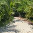  Grundstück zu verkaufen in Puerto Morelos, Quintana Roo, Puerto Morelos