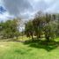  Casa en venta en Oña, Azuay, Susudel, Oña