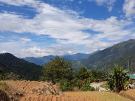  Land for sale in Cordillera, Atok, Benguet, Cordillera