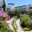 3 Schlafzimmer Villa zu vermieten in Allende, Guanajuato, Allende