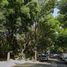 Villa 3 chambre à vendre à Benito Juarez, Mexico City, Benito Juarez