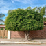 5 Bedroom House for sale in Cuautla, Morelos, Cuautla