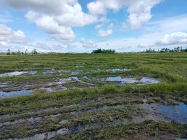  Terreno for sale in Barra do Quaraí, Rio Grande do Sul, Barra do Quaraí, Barra do Quaraí