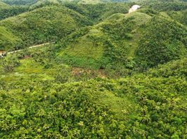  Grundstück zu verkaufen in Surigao del Norte, Caraga, Del Carmen, Surigao del Norte