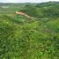  Land for sale in Surigao del Norte, Caraga, Del Carmen, Surigao del Norte