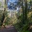  Terreno (Parcela) en venta en Chile, Villarrica, Cautín, Araucanía, Chile