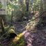  Terreno (Parcela) en venta en Chile, Villarrica, Cautín, Araucanía, Chile