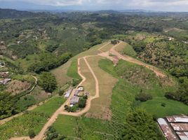  Land for sale in Pereira, Risaralda, Pereira