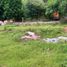  Land for sale in Quezon City, Metro Manila, Quezon City, Eastern District, Metro Manila, Philippines
