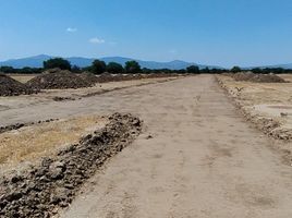  Grundstück zu verkaufen in Allende, Guanajuato, Allende