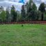  Terreno (Parcela) en venta en Ranco, Los Ríos, Futrono, Ranco