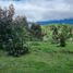  Terreno (Parcela) en venta en Ranco, Los Ríos, Futrono, Ranco