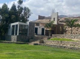  Terreno (Parcela) en venta en Asia, Lima, Asia