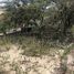  Terreno (Parcela) en venta en Cumbaya, Pichincha, Cumbaya
