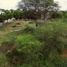 Terrain à vendre à Piura, Piura, Piura, Piura, Piura, Pérou