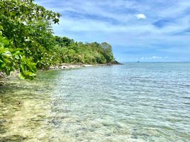  Grundstück zu verkaufen in Samar, Eastern Visayas, Marabut, Samar