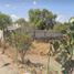  Terreno (Parcela) en venta en Corregidora, Querétaro, Corregidora