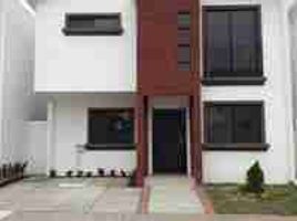 4 Bedroom House for rent in Guayas, Samborondon, Samborondon, Guayas