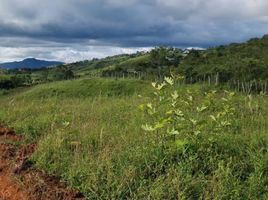  Terreno (Parcela) en venta en Dagua, Valle Del Cauca, Dagua