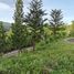  Terreno (Parcela) en venta en Cebu City, Central Visayas, Cebu City