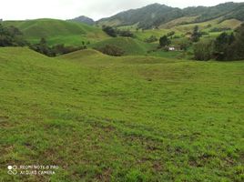  Terreno (Parcela) en venta en La Union De Sucre, Antioquia, La Union De Sucre