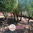  Land for sale in Cuenca, Azuay, Cuenca, Cuenca, Azuay