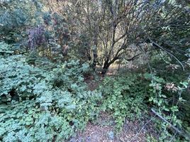  Terreno (Parcela) en venta en Chile, San Clemente, Talca, Maule, Chile