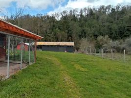  Land for sale in Los Rios, Mafil, Valdivia, Los Rios
