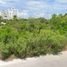 Grundstück zu verkaufen in Dzemul, Yucatan, Dzemul