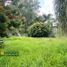  Land for sale in City of San Fernando, Pampanga, City of San Fernando