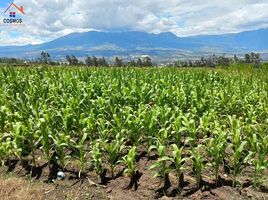  Terreno (Parcela) en venta en Imbabura, San Roque, Antonio Ante, Imbabura