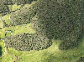  Terreno (Parcela) en alquiler en Tarqui, Cuenca, Tarqui