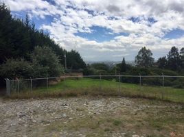  Land for sale in Tumbaco, Pichincha, Tumbaco