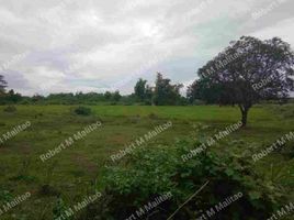  Terrain for sale in Baliuag, Bulacan, Baliuag