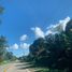  Land for sale in Ubay, Central Visayas, Ubay