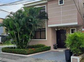 3 Bedroom House for sale in Daule, Guayas, Daule, Daule