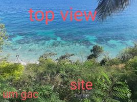  Land for sale in Oslob, Cebu, Oslob