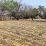  Land for sale in Cuernavaca, Morelos, Cuernavaca