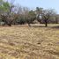  Land for sale in Cuernavaca, Morelos, Cuernavaca